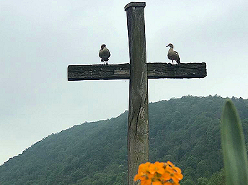 ☀ Elisabethenquelle Bad Kreuznach ☀