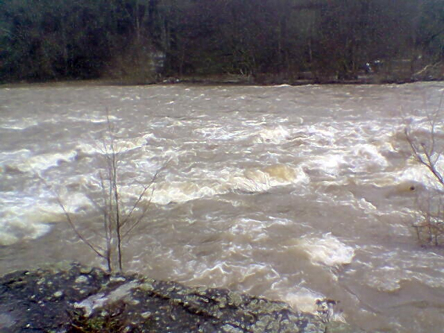 Hochwasser der Nahe im Februar 2010 Bad Mnster am Stein-Ebernburg