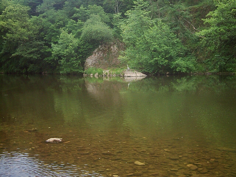 Blick auf die Nahe  -  Bad Mnster am Stein-Ebernburg