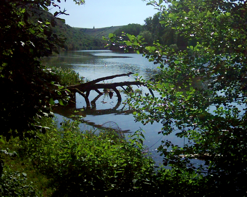 Der Stausee bei Niederhausen im Mai 2010 ca. 5km Entfernung von Bad Mnster am Stein-Ebernburg. Auf 120 m Breite aufgestaute Nahe, ca. 800.000 m Wasser. Naturschutzgebiet! u.a. Wrfelnatter, Schlingnatter, Blindschleiche, Salamander uvm. Der Naheradweg fhrt unmittelbar vorbei. Ruderer - Naheregatta - Windsurfen - Angler - Wandern ...