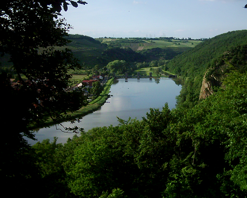 Der Stausee bei Niederhausen im Mai 2010 ca. 5km Entfernung von Bad Mnster am Stein-Ebernburg. Auf 120 m Breite aufgestaute Nahe, ca. 800.000 m Wasser. Naturschutzgebiet! u.a. Wrfelnatter, Schlingnatter, Blindschleiche, Salamander uvm. Der Naheradweg fhrt unmittelbar vorbei. Ruderer - Naheregatta - Windsurfen - Angler - Wandern ...